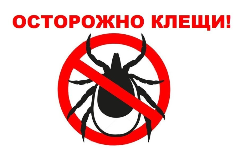 Осторожно клещи! Осторожно клещи!.